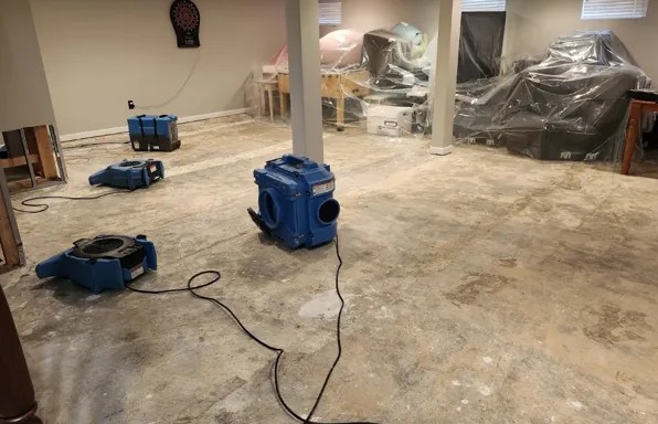 Deodorization Services in South Jordan, UT